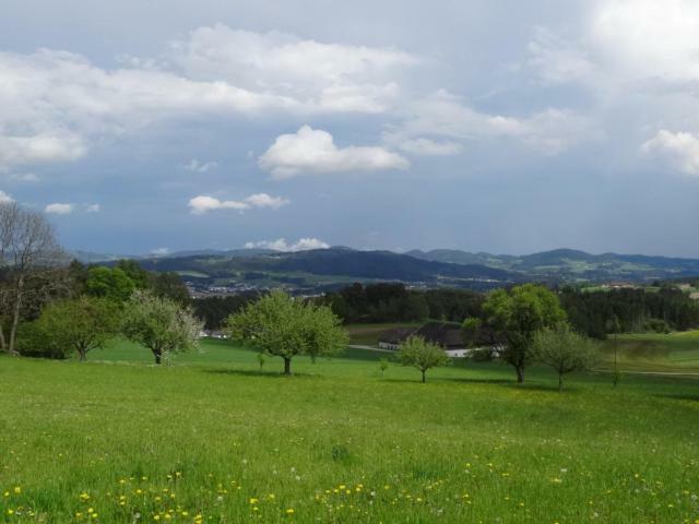 דירות Waldburg Desl'S Little Farm מראה חיצוני תמונה